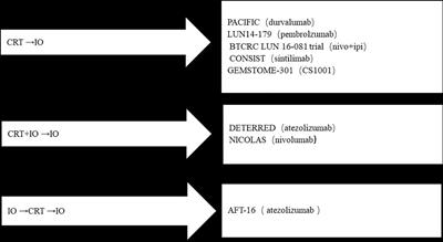 Immunotherapy progress and clinical strategy of unresectable locally advanced non-small cell lung cancer